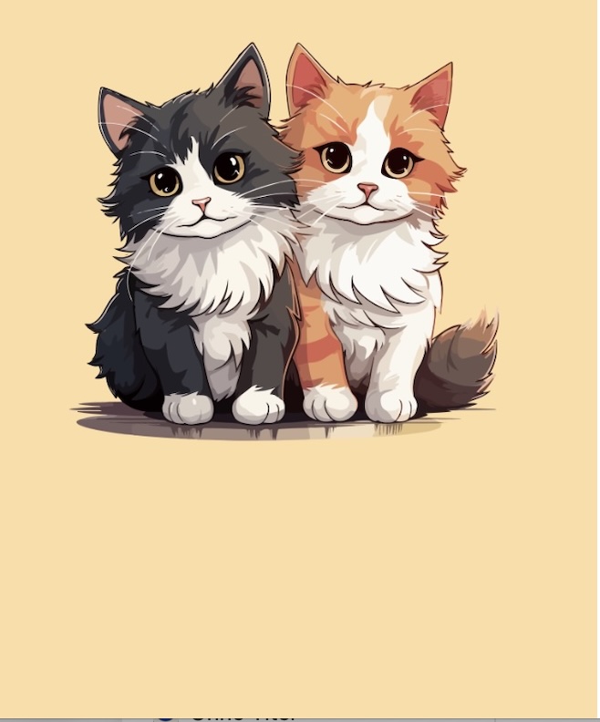 Spielzeug für Katzen