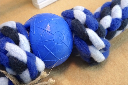 Preview: Zergel mit kleinem Ball,  Himmelblau