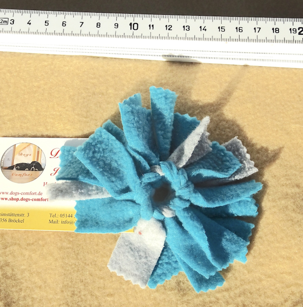 Katzen-Wuschel, Türkis