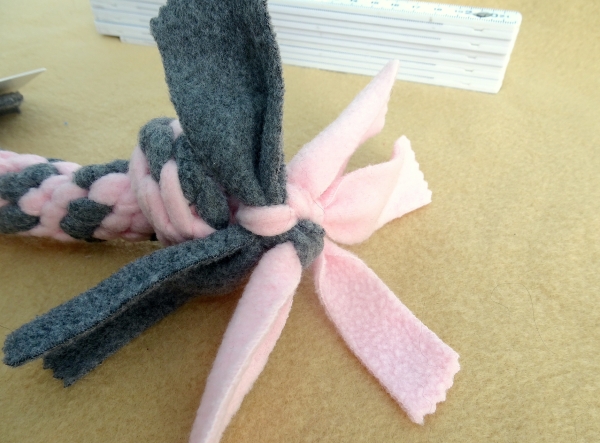 Knoten-Zergel, Elegant Rosa, Zwerg (Welpe)