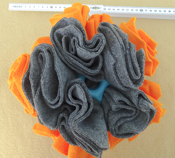 Schnüffelrose Grau, Orange